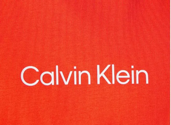 Calvin Klein Hero Logo Orange Tee Shirt Orange